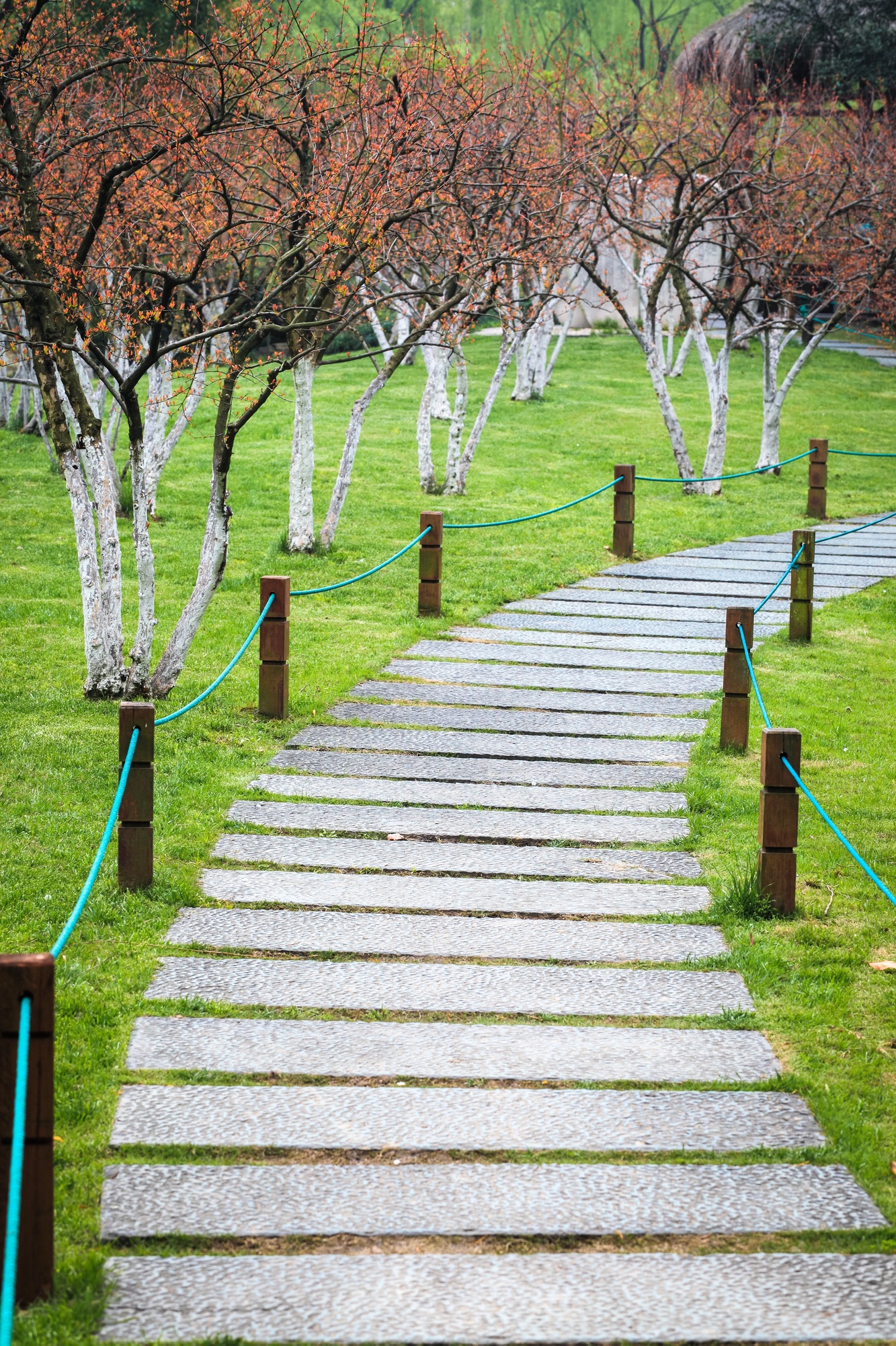 garden stone path